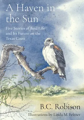 Přístav na slunci: Pět příběhů o životě ptáků a jeho budoucnosti na texaském pobřeží - A Haven in the Sun: Five Stories of Bird Life and Its Future on the Texas Coast