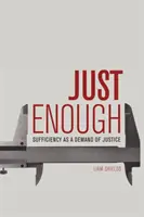 Stačí: Dostatečnost jako požadavek spravedlnosti - Just Enough: Sufficiency as a Demand of Justice