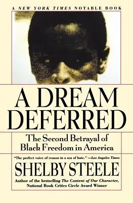 Odložený sen: Druhá zrada černošské svobody v Americe - A Dream Deferred: The Second Betrayal of Black Freedom in America