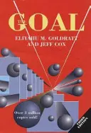 Cíl: proces neustálého zlepšování - The Goal: A Process of Ongoing Improvement