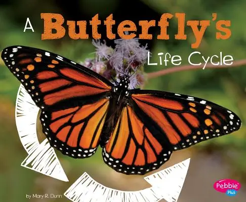 Životní cyklus motýla - A Butterfly's Life Cycle