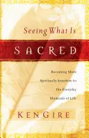 Vidět to, co je posvátné: Jak se stát duchovně citlivějším ke každodenním okamžikům života - Seeing What Is Sacred: Becoming More Spiritually Sensitive to the Everyday Moments of Life