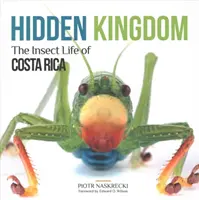 Skryté království: Hmyzí život Kostariky - Hidden Kingdom: The Insect Life of Costa Rica