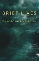Krátké životy - Brief Lives