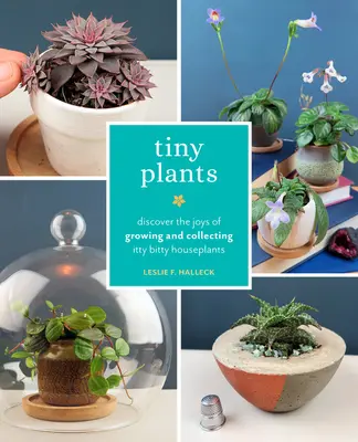 Drobné rostliny: Objevte radost z pěstování a sbírání drobných pokojových rostlin - Tiny Plants: Discover the Joys of Growing and Collecting Itty-Bitty Houseplants