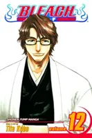 Bleach, díl 12, 12 - Bleach, Vol. 12, 12