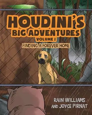 Houdiniho velká dobrodružství: Hledání věčného domova - Houdini's Big Adventures: Finding a Forever Home