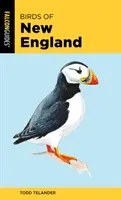 Ptáci Nové Anglie - Birds of New England
