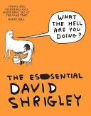 Co to sakra děláš? The Essential David Shrigley - What The Hell Are You Doing?: The Essential David Shrigley