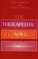 Terapeutický proces: A Clinical Introduction to Psychodynamic Psychotherapy (Klinický úvod do psychodynamické psychoterapie) - The Therapeutic Process: A Clinical Introduction to Psychodynamic Psychotherapy