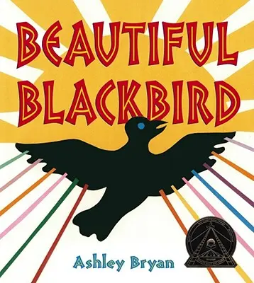 Krásný kos - Beautiful Blackbird