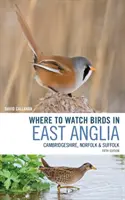Kde sledovat ptáky ve východní Anglii: Cambridgeshire, Norfolk a Suffolk. - Where to Watch Birds in East Anglia: Cambridgeshire, Norfolk and Suffolk