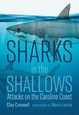 Žraloci na mělčině: Útoky na pobřeží Karolíny - Sharks in the Shallows: Attacks on the Carolina Coast