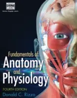 Základy anatomie a fyziologie - Fundamentals of Anatomy and Physiology