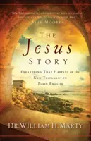 Ježíšův příběh: Vše, co se děje v Novém zákoně, srozumitelně a anglicky. - The Jesus Story: Everything That Happens in the New Testament in Plain English
