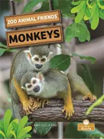 Opice - Monkeys