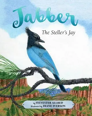 Sojka Jabberova - Jabber the Steller's Jay