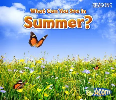 Co můžete vidět v létě? - What Can You See in Summer?