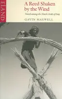 Rákos otřásaný větrem: Cesty mezi močálovými Araby v Iráku - A Reed Shaken by the Wind: Travels Among the Marsh Arabs of Iraq