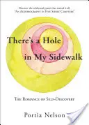 V mém chodníku je díra: Román o sebepoznání - There's a Hole in My Sidewalk: The Romance of Self-Discovery