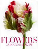 Květiny - Flowers