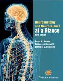 Neuroanatomie a neurověda v kostce - Neuroanatomy and Neuroscience at a Glance