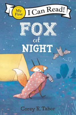 Liška v noci - Fox at Night