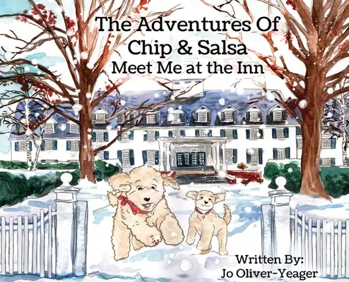 Dobrodružství Chipa a Salsy: Setkáme se v hostinci - The Adventures of Chip and Salsa: Meet Me at the Inn