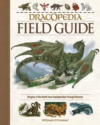 Terénní průvodce Dracopedia: Draci světa od Amphipteridae po Wyvernae - Dracopedia Field Guide: Dragons of the World from Amphipteridae Through Wyvernae