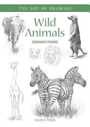 Divoká zvířata - Wild Animals