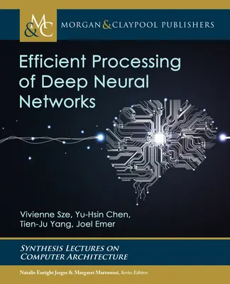 Efektivní zpracování hlubokých neuronových sítí - Efficient Processing of Deep Neural Networks