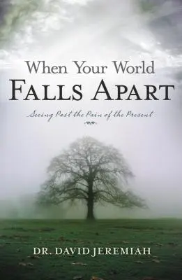 Když se váš svět hroutí: Jak překonat bolest přítomnosti - When Your World Falls Apart: See Past the Pain of the Present