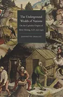 Podzemní bohatství národů: O kapitalistických počátcích těžby stříbra, 1150-1450 n. l. - The Underground Wealth of Nations: On the Capitalist Origins of Silver Mining, A.D. 1150-1450