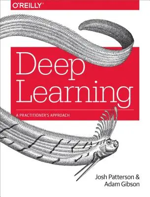 Hluboké učení: Přístup praktika - Deep Learning: A Practitioner's Approach