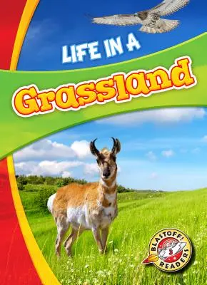 Život na pastvině - Life in a Grassland