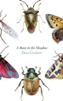 Bzučení na louce - Buzz in the Meadow