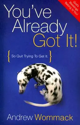 Už to máš! Přestaňte se snažit to získat - You've Already Got It!: So Quit Trying to Get It