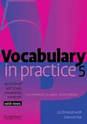 Slovní zásoba v praxi 5 - Vocabulary in Practice 5