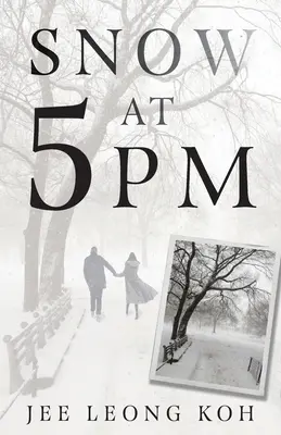 Sníh v 17 hodin: Překlady nevýznamného japonského básníka - Snow at 5 PM: Translations of an Insignificant Japanese Poet