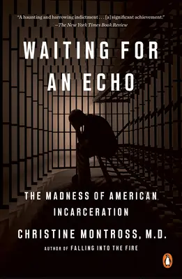 Čekání na ozvěnu: Šílenství amerického vězeňství - Waiting for an Echo: The Madness of American Incarceration