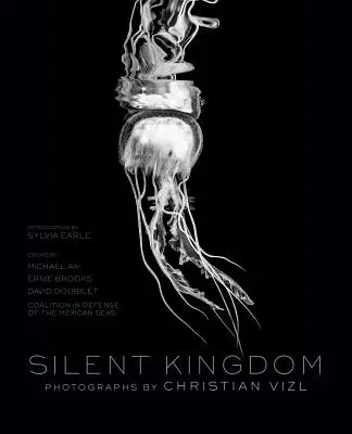 Tiché království: Svět pod vlnami - Silent Kingdom: A World Beneath the Waves