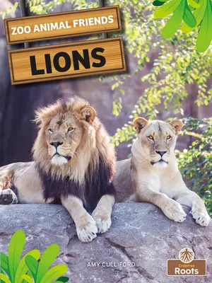 Lvi - Lions