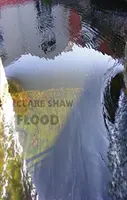 Povodně - Flood