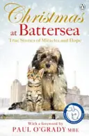 Vánoce v Battersea: Pravdivé příběhy o zázracích a naději - Christmas at Battersea: True Stories of Miracles and Hope