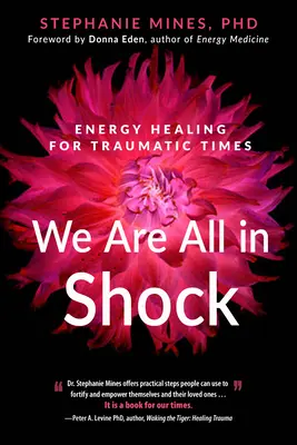 Všichni jsme v šoku: Energetické léčení pro traumatické období - We Are All in Shock: Energy Healing for Traumatic Times