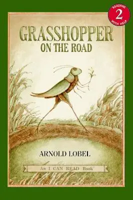 Kobylka na cestě - Grasshopper on the Road