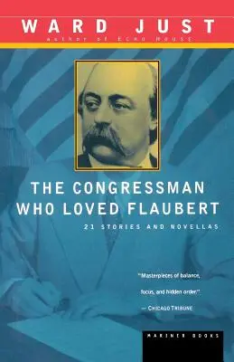 Kongresman, který miloval Flauberta: 21 povídek a novel - The Congressman Who Loved Flaubert: 21 Stories and Novellas