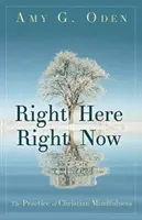 Právě tady a teď: Praxe křesťanské bdělosti - Right Here Right Now: The Practice of Christian Mindfulness