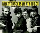 Co vidíš, to dostaneš: Stiff Little Fingers 1977-1983 - What You See Is What You Get: Stiff Little Fingers 1977-1983