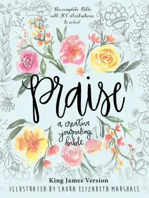 Chvála: A Creative Journaling Bible - Praise: A Creative Journaling Bible